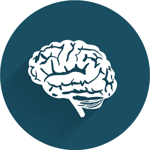 Occupational Noise Evaluation